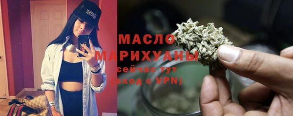 мдпв Дмитров