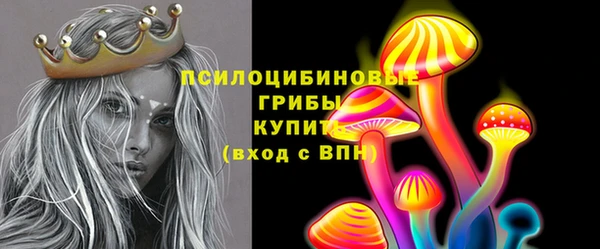 соль курить ск Дмитриев