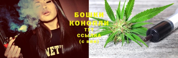 крисы Дмитровск