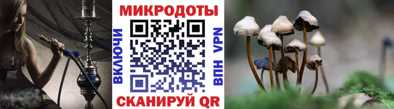 kraken как войти  Рудня  Галлюциногенные грибы ЛСД 